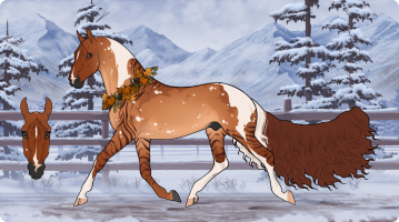 Thumbnail of 11425 Stained Advice