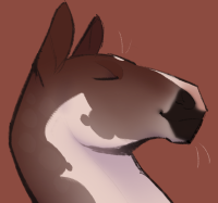 Thumbnail for 11788 Duck Season