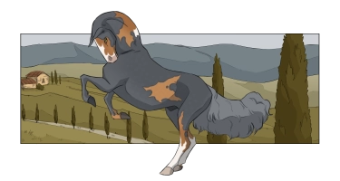 10206 Caesar Thumbnail