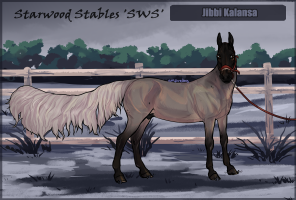 Thumbnail for 1280 SWS Jibbi Kalansa