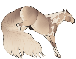 Thumbnail for 11634 BHR Sweet Candy