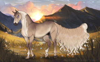 Thumbnail for 10402 Morning Latte