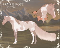 Thumbnail for 9374 Prairie Rose