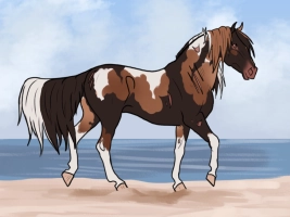 Thumbnail for 11975 CB's Flicker