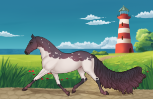 Thumbnail for 11938 Rooibos