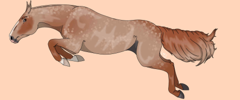 Thumbnail for 11091 PF Legendary Master of Haki