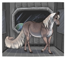 Thumbnail for 11798 ML The Quiet Thread Of Hope