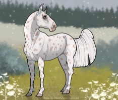 Thumbnail for 10440 KM Crème de la Crème