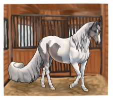 Thumbnail for 11871 EY What We Once Were