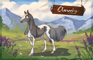 Thumbnail image for 11097 Cloudy