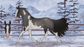 Thumbnail for 12023 Painted Storm