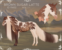 Thumbnail for 11402 Brown Sugar Latte