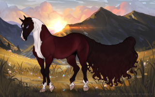 Thumbnail for 10313 Wine After Midnight