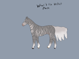 5087 What’s The Verdict Thumbnail