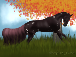 Thumbnail for 11549 LR Check Please