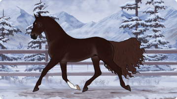 Thumbnail for 12054 Brujos Adobe Rose