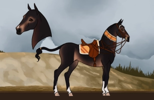 Thumbnail image for 11622 Caelo et in Terra