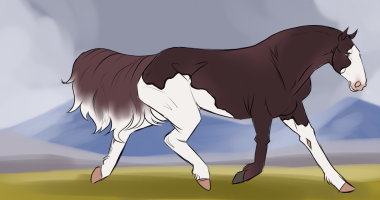 Thumbnail for 10870 Black Flag Bandit