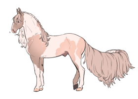 Thumbnail for 12048 CS Creamy Cortado