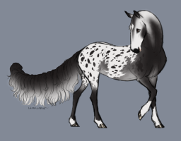 12070 Over The Peacefield Thumbnail