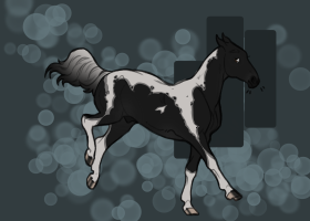 Thumbnail image for 11921 Domino Dream