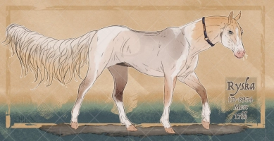 Thumbnail of 8954 Ryska