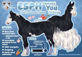 Thumbnail for 11639 ESPH Painted You Pretty