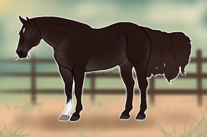 12054 Brujos Adobe Rose