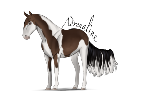 8888 Adrenaline Thumbnail