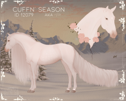 Thumbnail for 12079 CuffN’ Season