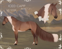 Thumbnail of 12129 Iced Capp