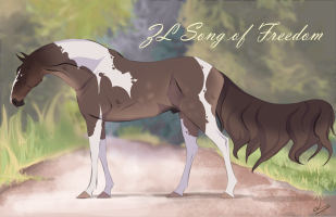 Thumbnail of 11851 ZL Song of Freedom