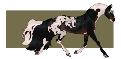 Thumbnail for 11636 BHR Gambling Man