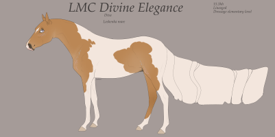 0481 LMC Divine Elegance Thumbnail