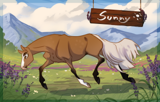 Thumbnail image for 6524 Sunny