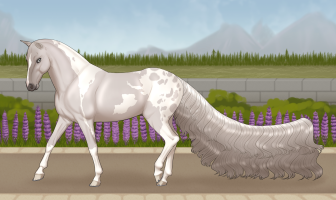 Thumbnail of 6698 RA Equinoccio