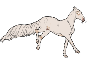 Thumbnail image for 10064 RA Moonless