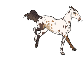 Thumbnail image for 11582 Nutmeg