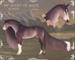 10371 MF Ghost of White Thumbnail