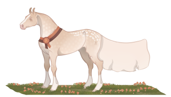 Thumbnail of 11624 Cecília