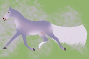 Thumbnail for 8138 Aleu's Northern Lights