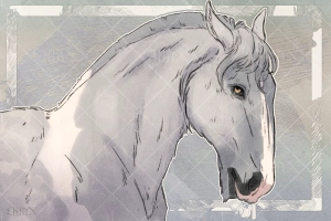 Thumbnail for 11013 Iuturna