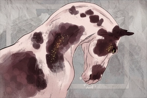 7590 Lashva Thumbnail