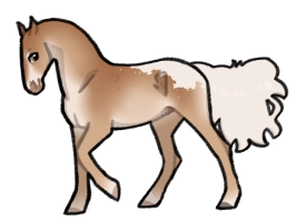 9018 Honey Comb Queen