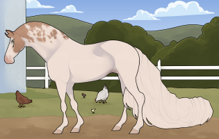 Thumbnail for 11522 BE The Last Chapter