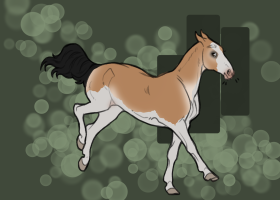 Thumbnail for 11643 Dandelion Dame