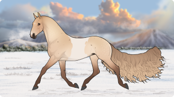 Thumbnail image for 12204