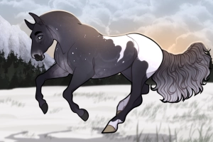 Thumbnail image for 12191 RWS Winter In Texas