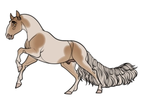 Thumbnail for 12192 RWS Orange Madness