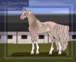 Thumbnail for 10544 Dynamite Wishes